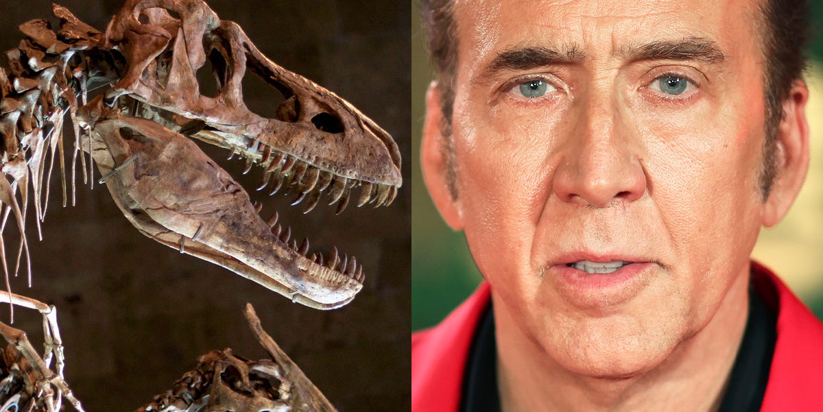 El día que Nicolas Cage compró un cráneo de dinosaurio y se vio envuelto en una trama de robo