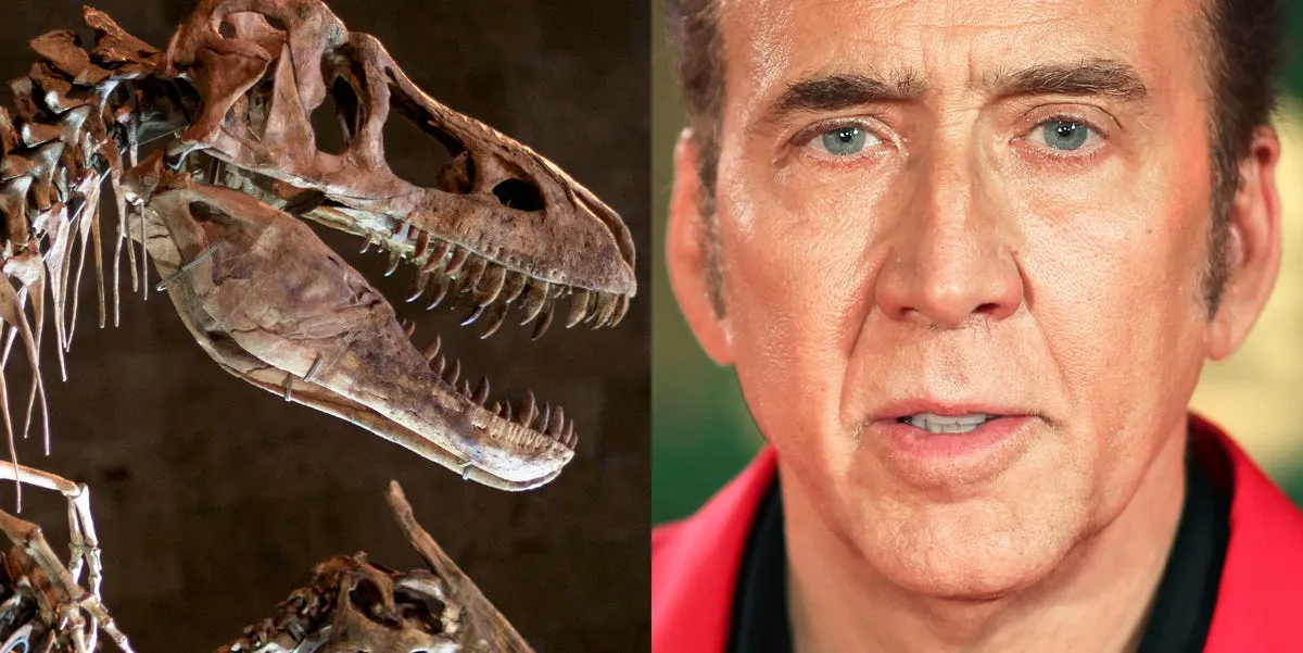 El día que Nicolas Cage compró un cráneo de dinosaurio y se vio envuelto en una trama de robo