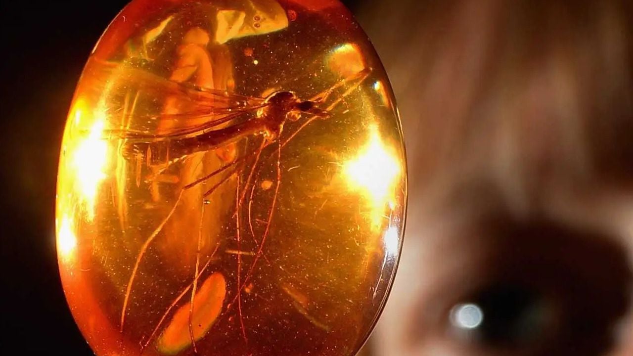 ‘Jurassic Park (Parque Jurásico)’: Cuando Spielberg llevó la ciencia más allá de la pantalla